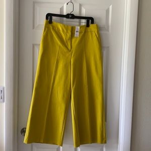 Loft wide pants
